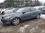 2008 Honda Accord EX