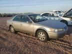 1999 Toyota Camry LE