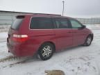 2005 Honda Odyssey EXL