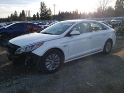 Hybrid Vehicles for sale at auction: 2017 Hyundai Sonata Hybrid