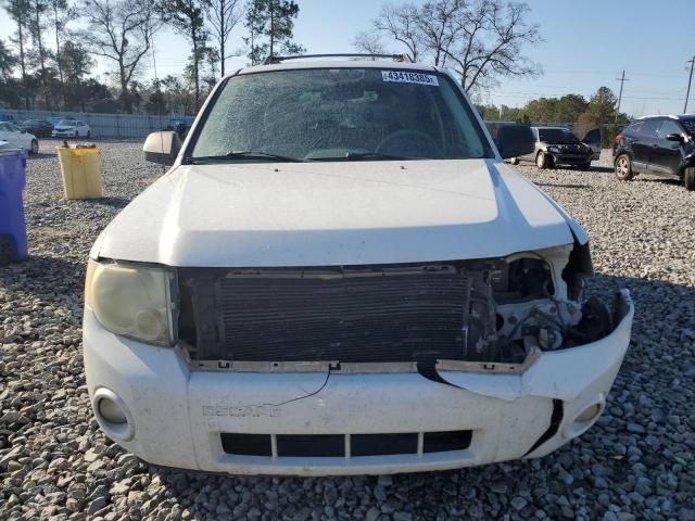 2008 Ford Escape XLT