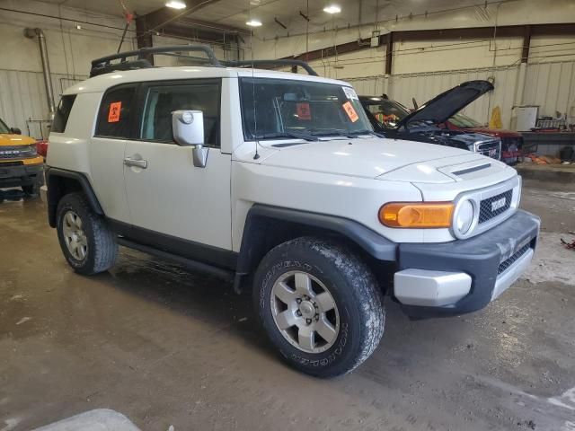 2010 Toyota FJ Cruiser