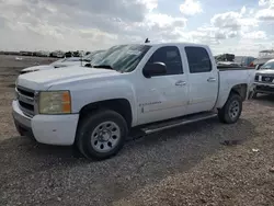 Chevrolet Silverado c1500 Crew cab Vehiculos salvage en venta: 2007 Chevrolet Silverado C1500 Crew Cab