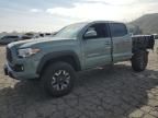 2023 Toyota Tacoma Double Cab