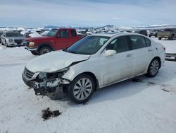 Salvage cars for sale at Helena, MT auction: 2013 Honda Accord EXL