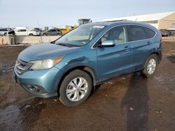 Salvage cars for sale at Brighton, CO auction: 2013 Honda CR-V EXL