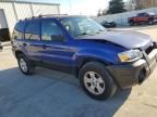 2005 Ford Escape XLT