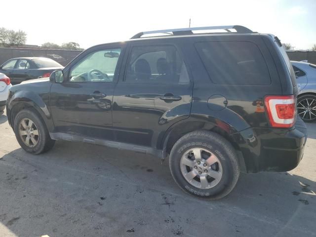 2011 Ford Escape Limited