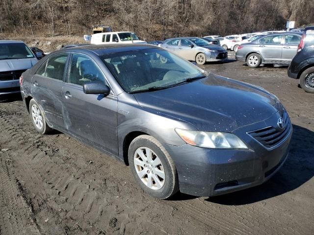 2007 Toyota Camry Hybrid