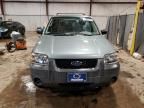 2005 Ford Escape XLS