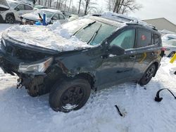 Salvage cars for sale at Central Square, NY auction: 2013 Toyota Rav4 LE