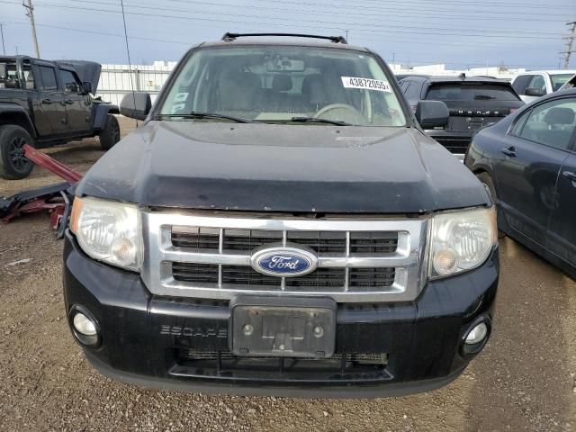 2010 Ford Escape XLT