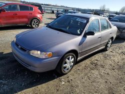 Salvage cars for sale from Copart Arlington, WA: 1998 Toyota Corolla VE