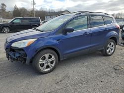 Salvage cars for sale at York Haven, PA auction: 2013 Ford Escape SE