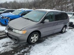 Salvage cars for sale at Marlboro, NY auction: 2000 Honda Odyssey EX