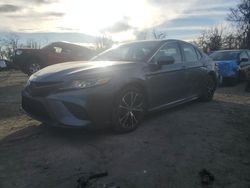 Salvage cars for sale at Baltimore, MD auction: 2020 Toyota Camry SE