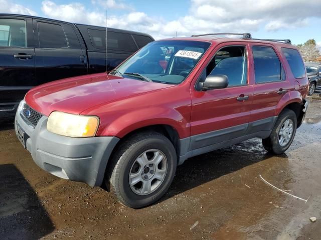 2004 Ford Escape XLT