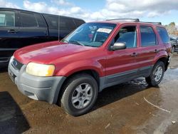 Salvage cars for sale at New Britain, CT auction: 2004 Ford Escape XLT