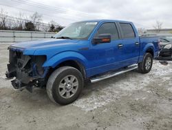 Ford f-150 salvage cars for sale: 2010 Ford F150 Supercrew