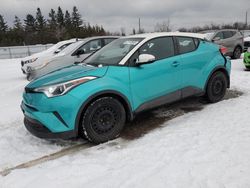 Carros salvage a la venta en subasta: 2018 Toyota C-HR XLE