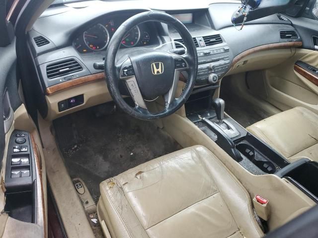 2011 Honda Accord EXL