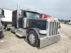 Peterbilt 389 salvage cars for sale: 2019 Peterbilt 389