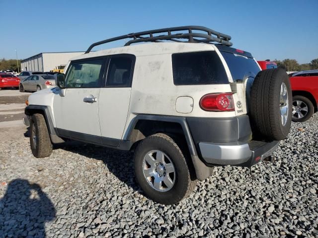 2010 Toyota FJ Cruiser