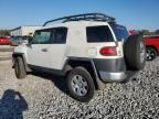 2010 Toyota FJ Cruiser