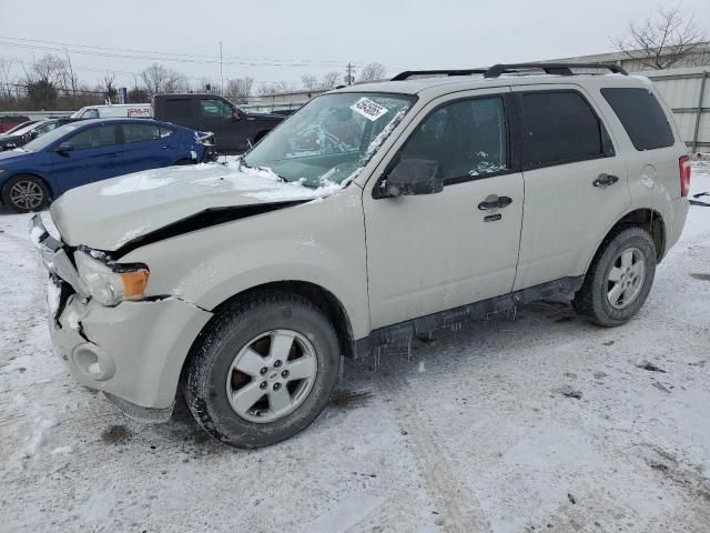 2009 Ford Escape XLT