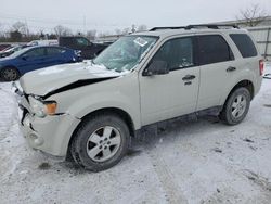 Salvage cars for sale at Walton, KY auction: 2009 Ford Escape XLT