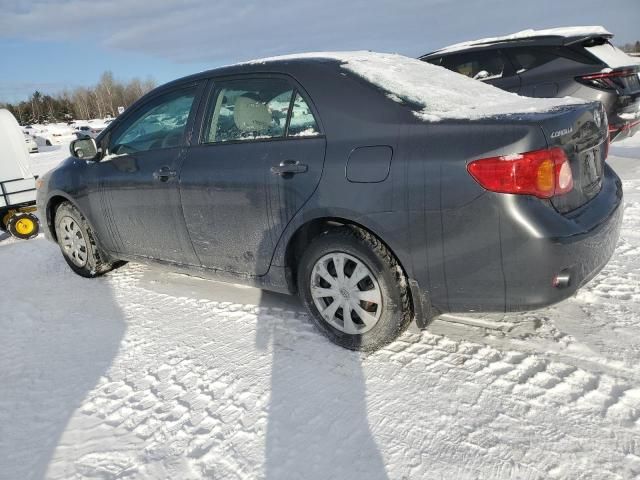 2010 Toyota Corolla Base