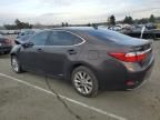 2013 Lexus ES 300H