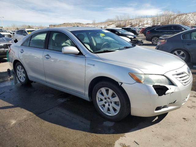 2009 Toyota Camry Hybrid