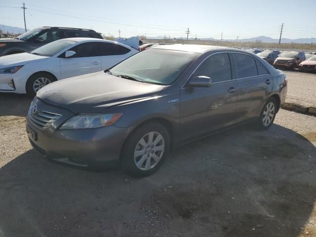 2009 Toyota Camry Hybrid