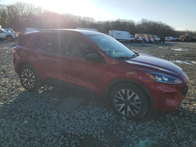 2020 Ford Escape SE Sport