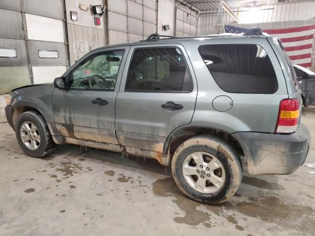 2006 Ford Escape XLT