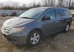 Salvage cars for sale at auction: 2011 Honda Odyssey EXL