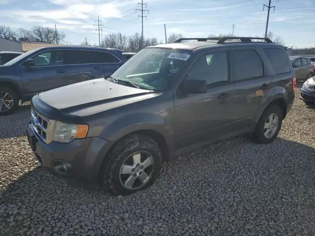 2011 Ford Escape XLT