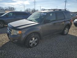 Salvage cars for sale at Columbus, OH auction: 2011 Ford Escape XLT