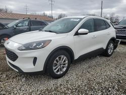 Vehiculos salvage en venta de Copart Columbus, OH: 2020 Ford Escape SE