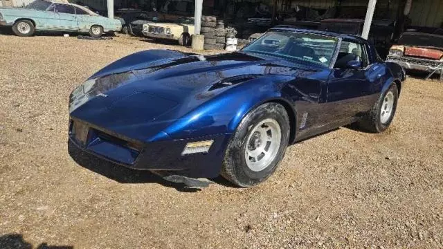 1981 Chevrolet Corvette