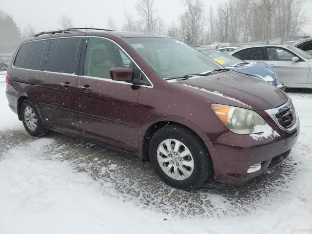 2010 Honda Odyssey EXL