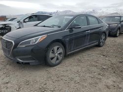 Hyundai salvage cars for sale: 2016 Hyundai Sonata PLUG-IN Hybrid