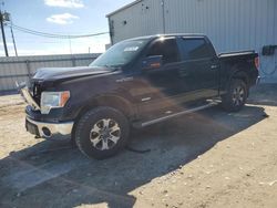 Salvage cars for sale at Jacksonville, FL auction: 2012 Ford F150 Supercrew