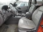 2007 Ford Escape XLT