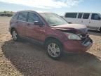 2010 Honda CR-V EX