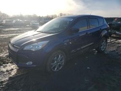 Salvage cars for sale at Duryea, PA auction: 2016 Ford Escape SE