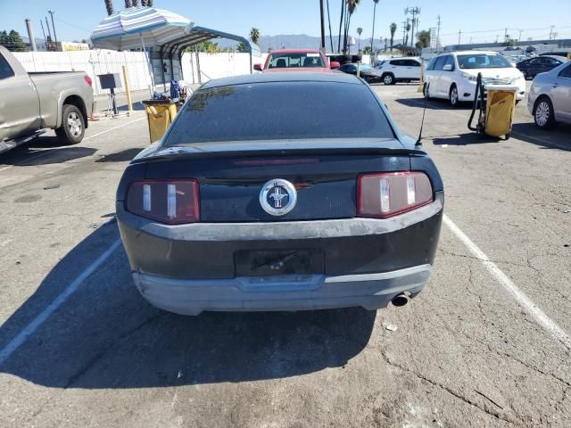 2010 Ford Mustang