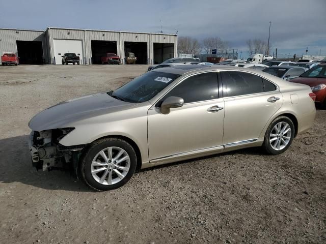 2010 Lexus ES 350