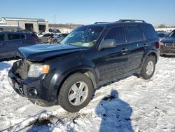 Ford Vehiculos salvage en venta: 2010 Ford Escape XLT